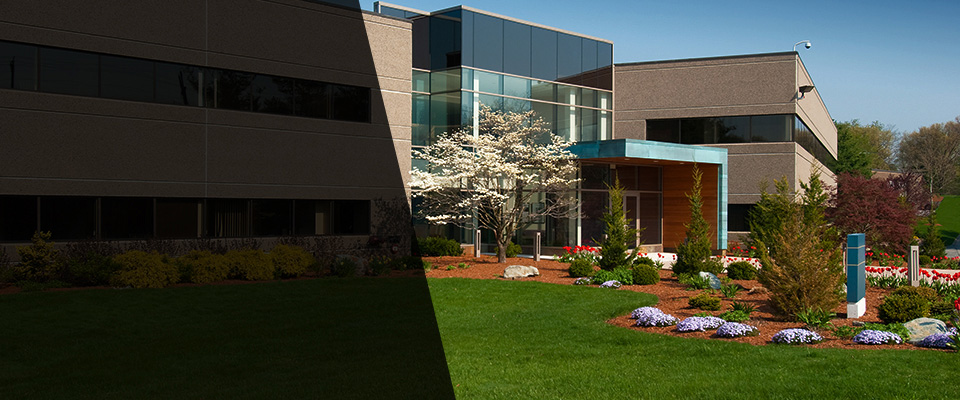 Fabens Landscapers