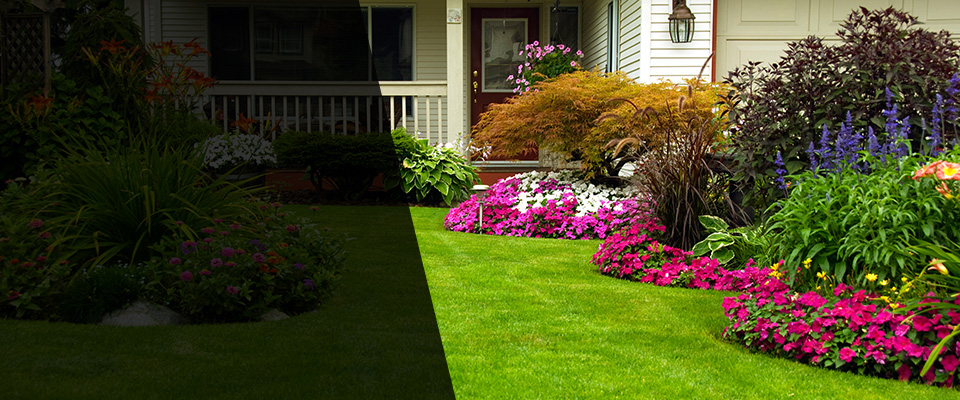 Fabens Landscapers