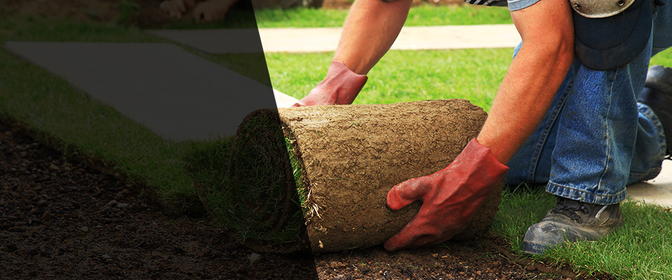 Fabens Landscapers
